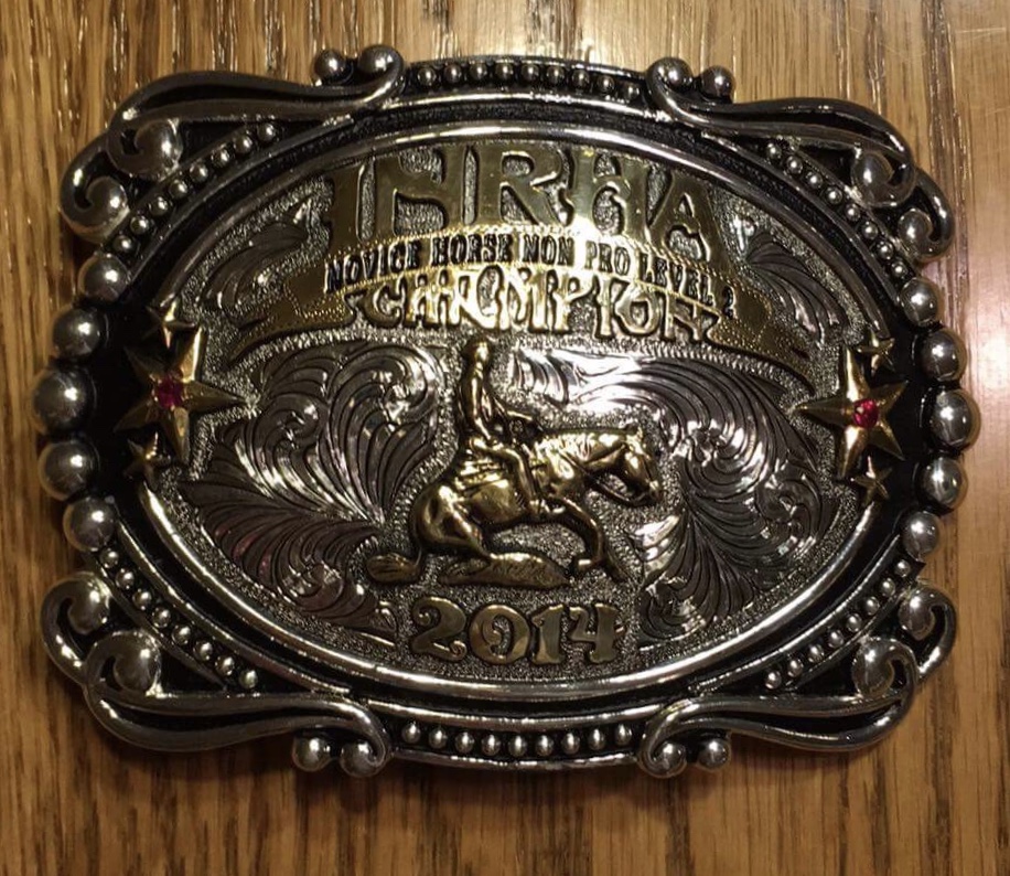 Standings Indiana Reining Horse Association